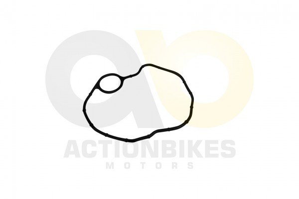 Actionbikes_Shineray_XY200STII_Dichtung_Ventildeck