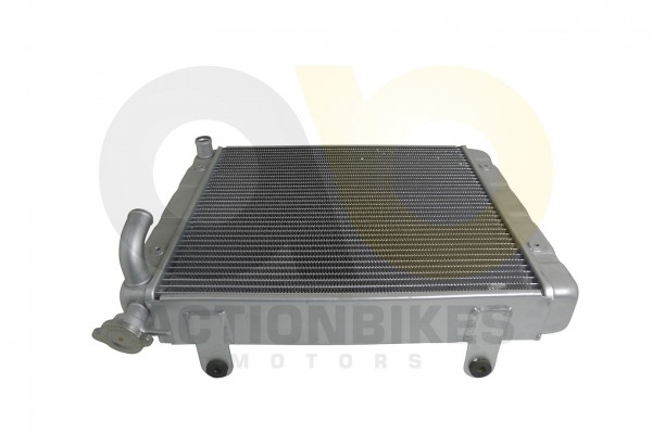 Actionbikes_XYPower_XY1100UTV_Khler_57303230323031