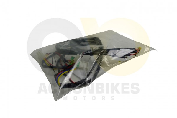 Actionbikes_Elektroauto_Land_Rover_Evoque_81400_Ka