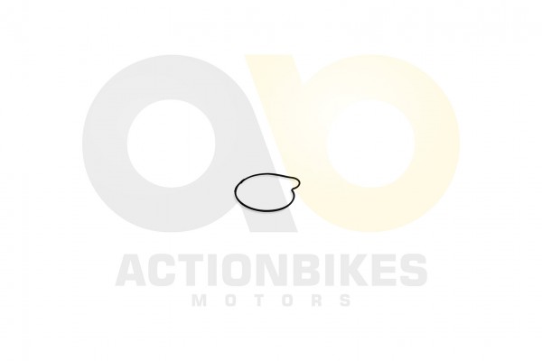 Actionbikes_Feishen_Hunter_600cc_Dichtring_Wasserp
