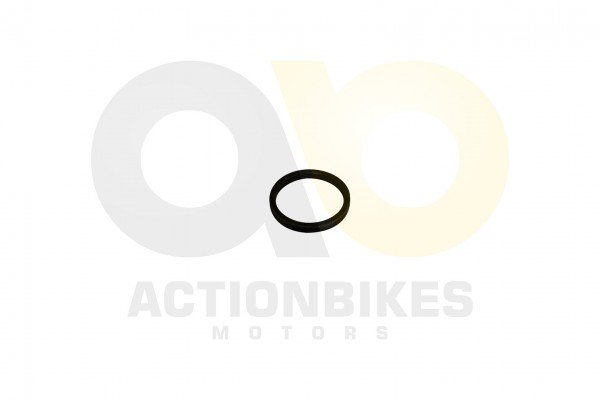 Actionbikes_Schneefrse_Raupe_Hlse_Antriebszahnrad_
