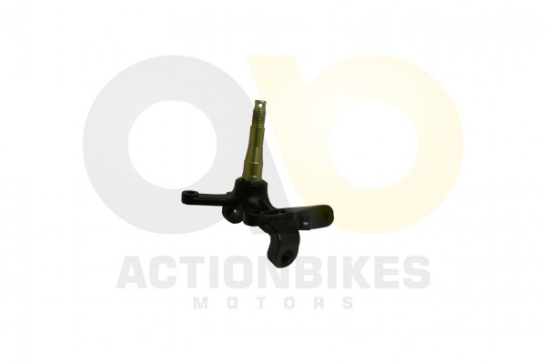 Actionbikes_Shineray_XY350ST_2E_Achsschenkel_vorne56c1dae758486
